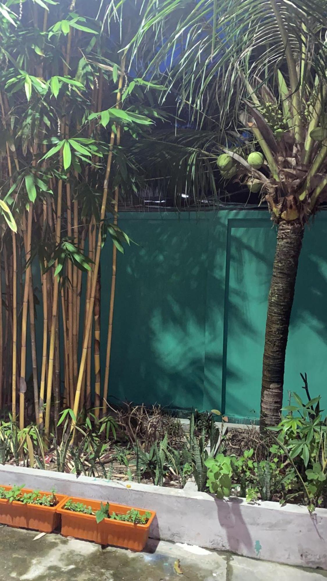 Bloom Garden Bed & Breakfast Siem Reap Dış mekan fotoğraf