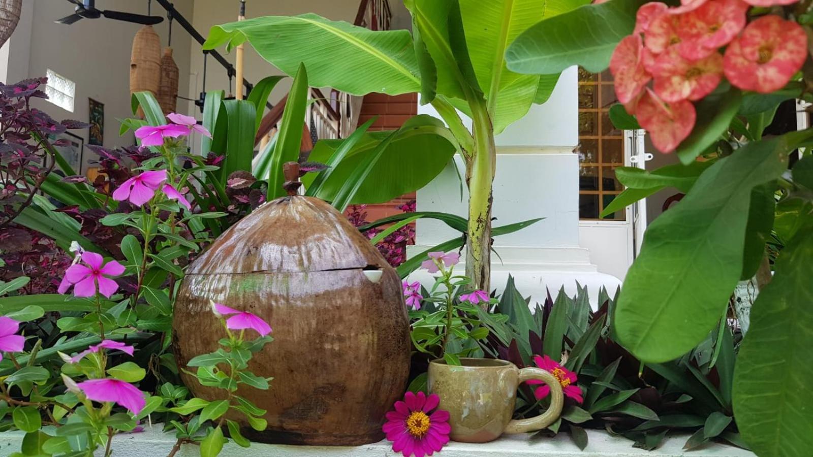 Bloom Garden Bed & Breakfast Siem Reap Dış mekan fotoğraf